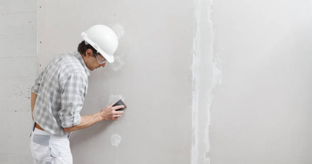 Best Pressure Washing and Painting Preparation  in Molalla, OR